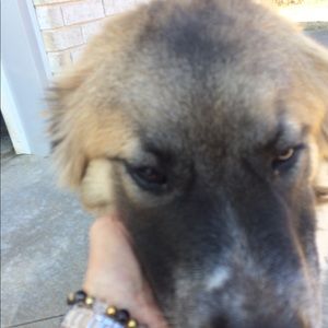 Meet your Posher, Caroline